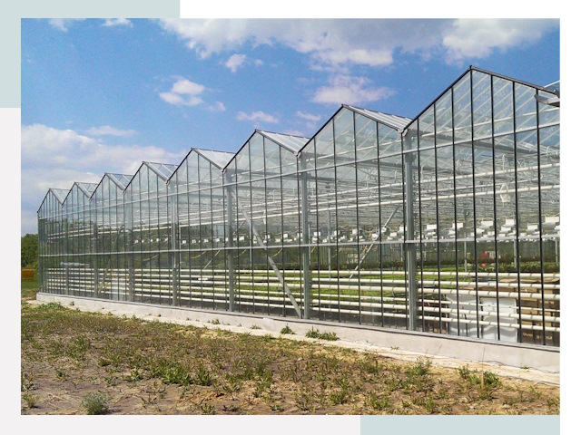 Строительство теплиц в Наро-Фоминск от 615 руб. за м²